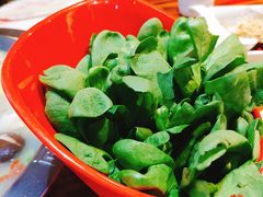 蓬蒿菜-庄老幺火锅(娄山关路店)