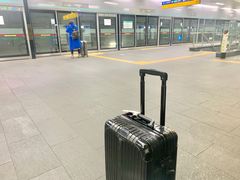 -新罗免税店(首尔总店)