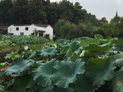 -清漾毛氏文化村