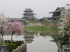 -海珠湖公园
