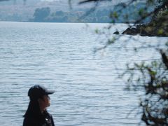 -阳宗海湿地