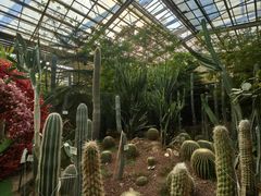 -呀路古热带植物园