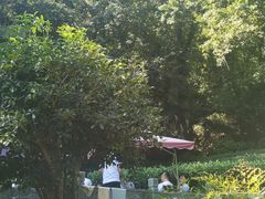 -嘉龙茶庄