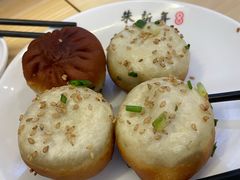-朱新年·苏式汤团·面点(北寺塔店)