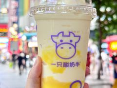 -一只酸奶牛(八一路店)