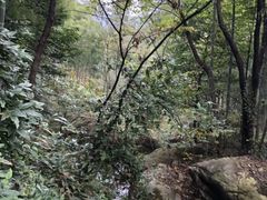 -山沟沟景区