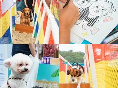 -西涌国际滨海旅游区