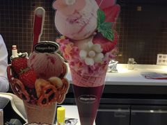 -哈根达斯(石家庄北国店)