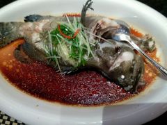 -新兴·金羊座·粤菜点心(乐峰店)
