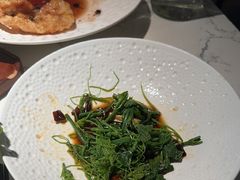 丝瓜尖拌腐竹-奉天小馆·非遗东北菜(济南万象城店)