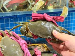 -辣螃铠盆盆蟹大排档(总店)