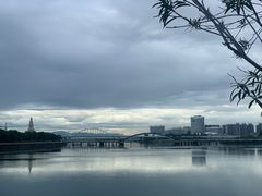 -五缘湾湿地公园