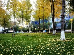 -重庆市江北嘴中央商务区中央公园