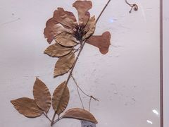 -常州博物馆