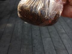 -叶氏麻糍(鼓浪屿店)