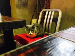 -MIKAKU(万达广场上海宝山店)