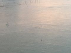 -北岐滩涂