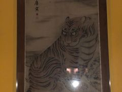 -美国自然历史博物馆