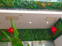 -奔驰利星行(北京花乡店)