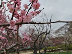 -无锡梅园公园