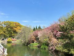 -白马涧龙池景区