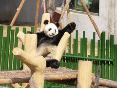 -沈阳森林动物园