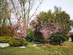 -思念果岭悦温泉