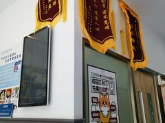 -伟伟宠物医院·瑞派猫友好医院·猫科(光谷店)