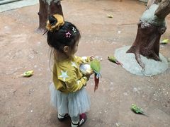 -正佳雨林生态植物园