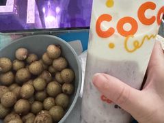 -CoCo都可(惠福店)