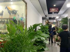 -苏州艺都古玩花鸟市场