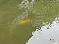 -柳侯公园