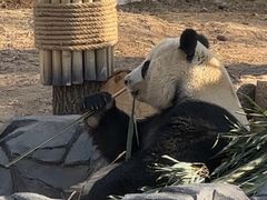 -秦皇岛野生动物园