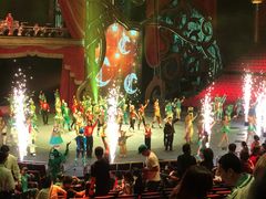 -珠海横琴长隆《卡卡虎奇遇记》