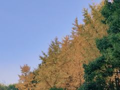 -老瑞福上海菜(人民广场店)