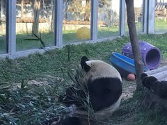 -西安秦岭野生动物园