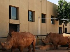 -鄂尔多斯野生动物园