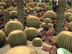 -南通洲际绿博园