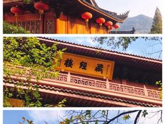 -灵隐飞来峰景区