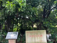 -张坝桂圆林公园