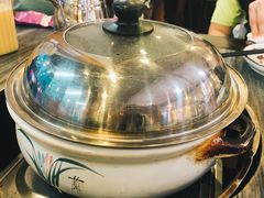 五指毛桃药膳鸽-鸽鸟轩(石岐店)
