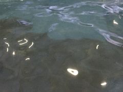-龙达温泉生态城