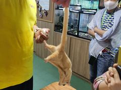 -藦茜花园宠物主题亲子互动体验馆(国顺东路店)