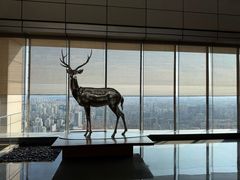 -北京柏悦酒店·锦庭餐厅Dining Room