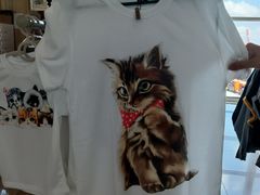 -古晋国际机场(KCH/WBGG)