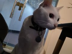 -Doors独立剧情密室(东门分店)