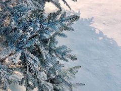 -世界之窗阿尔卑斯冰雪世界