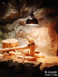 -Zoolung Zoolung动物主题公园(海信广场店)