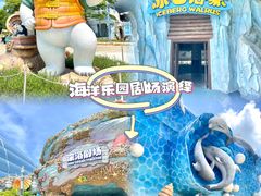 -海花岛旅游度假区