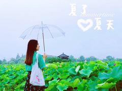 -梁鸿国家湿地公园